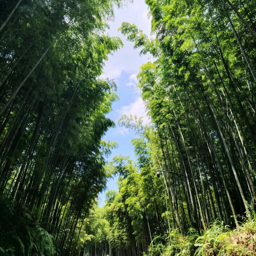 陈某人  （承蒙厚爱）