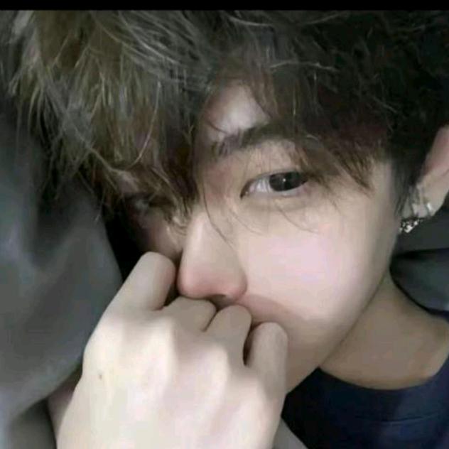 李清照886
