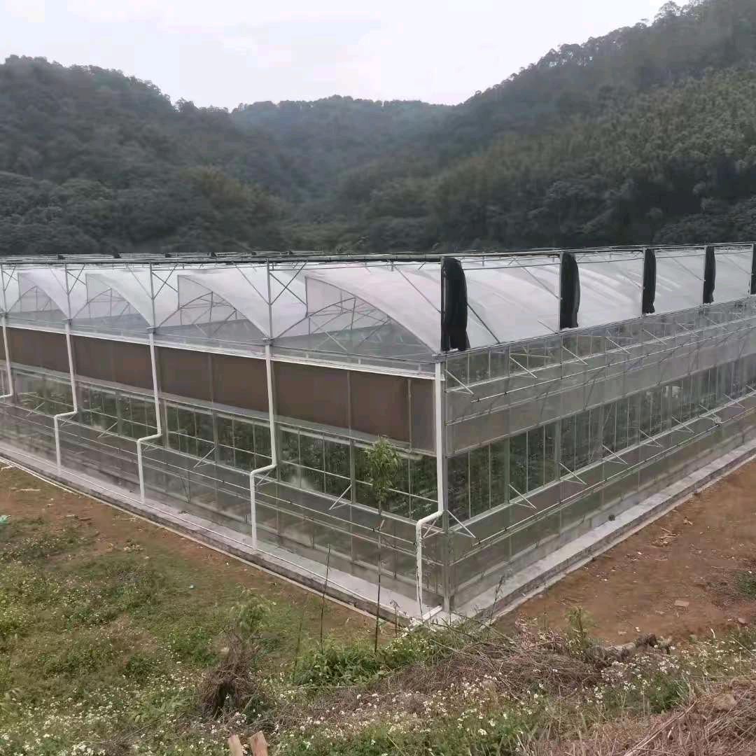褔建做温室大棚陈