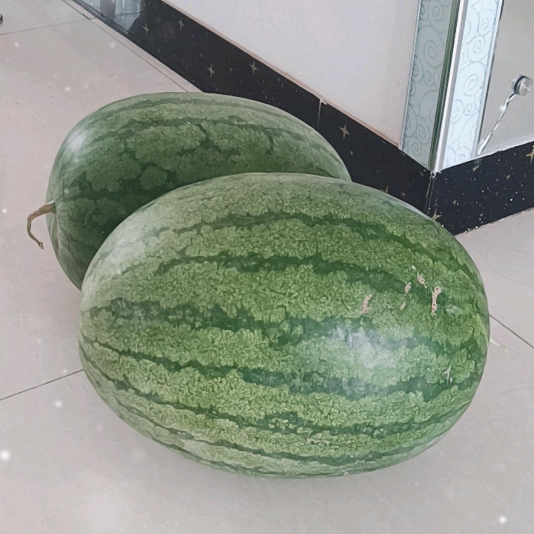 s小官人