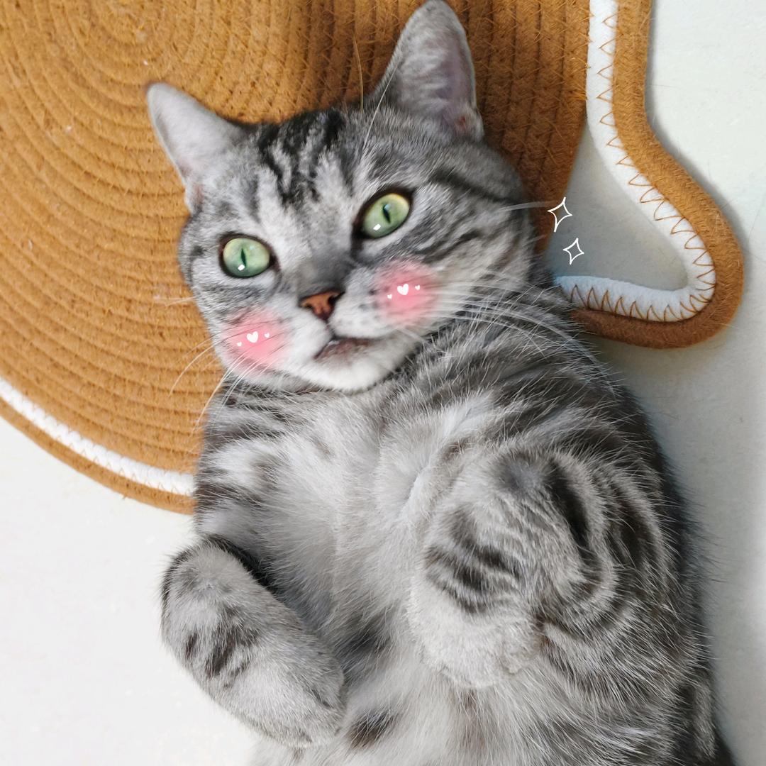 空心人