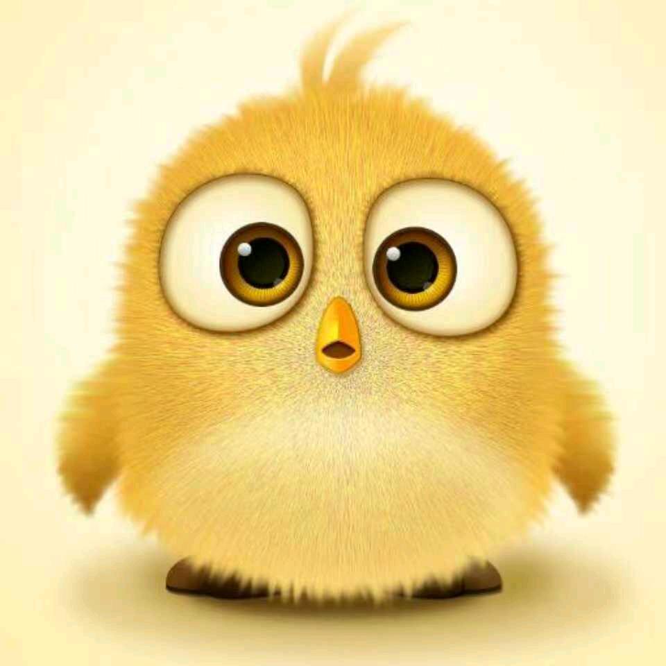 辉哥百货义乌店