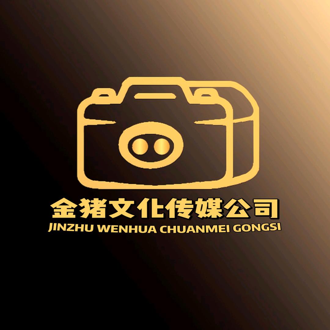 金猪传媒