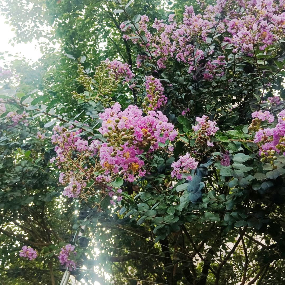 难得糊涂
