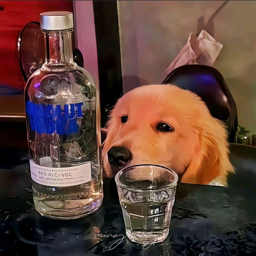 酩酴