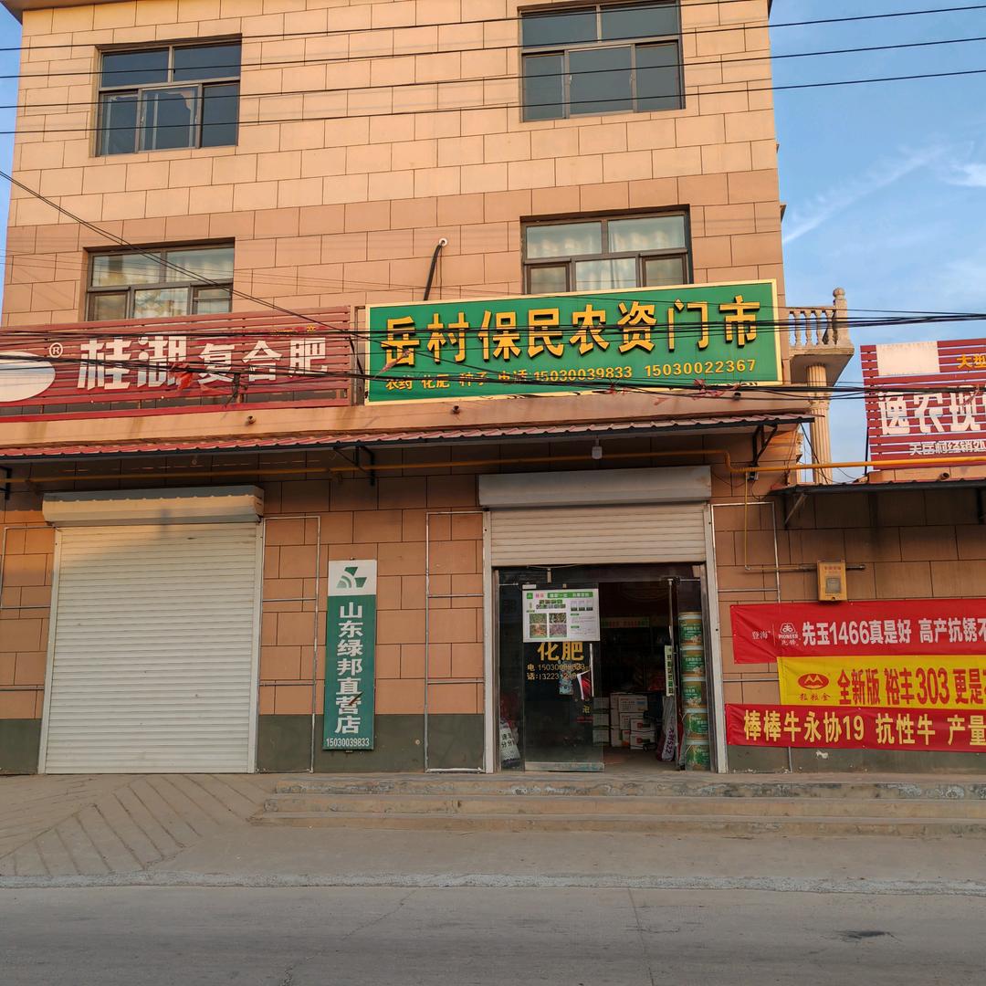 大名岳村农资翠