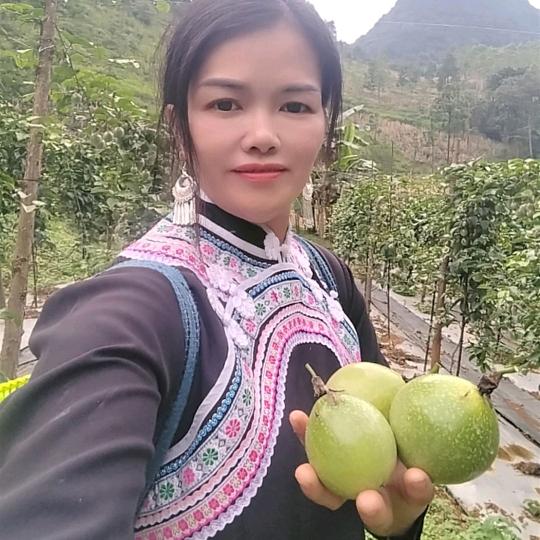三妹果园