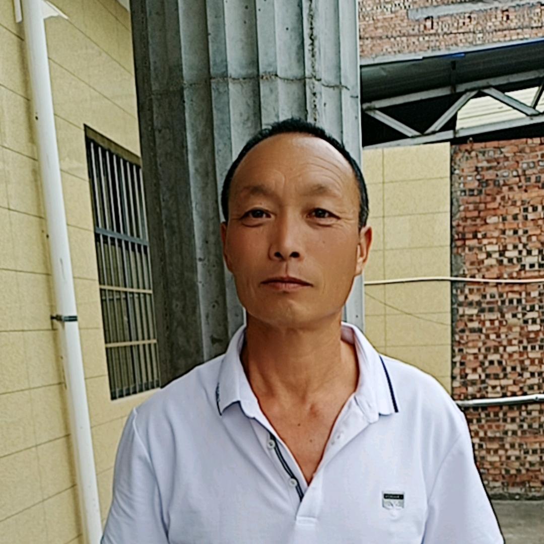 锤子哥