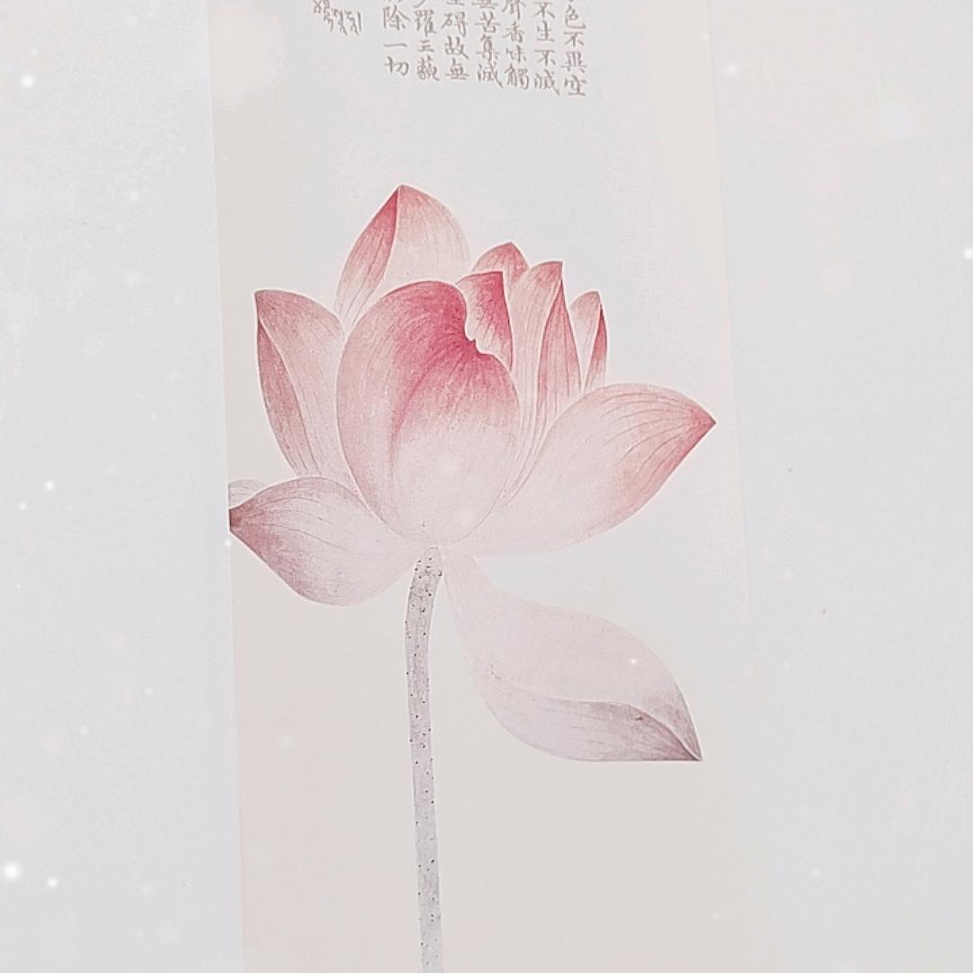 小蕾-读书分享