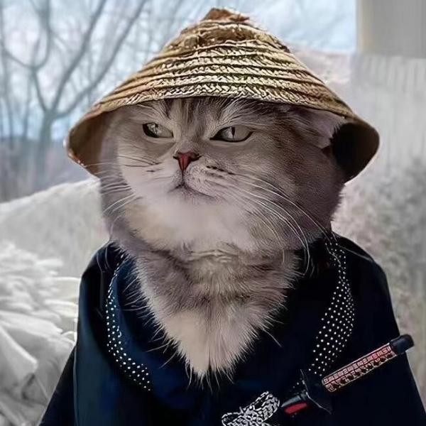 嗣宸