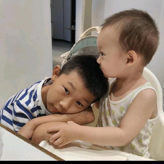 🐶赎罪羔羊