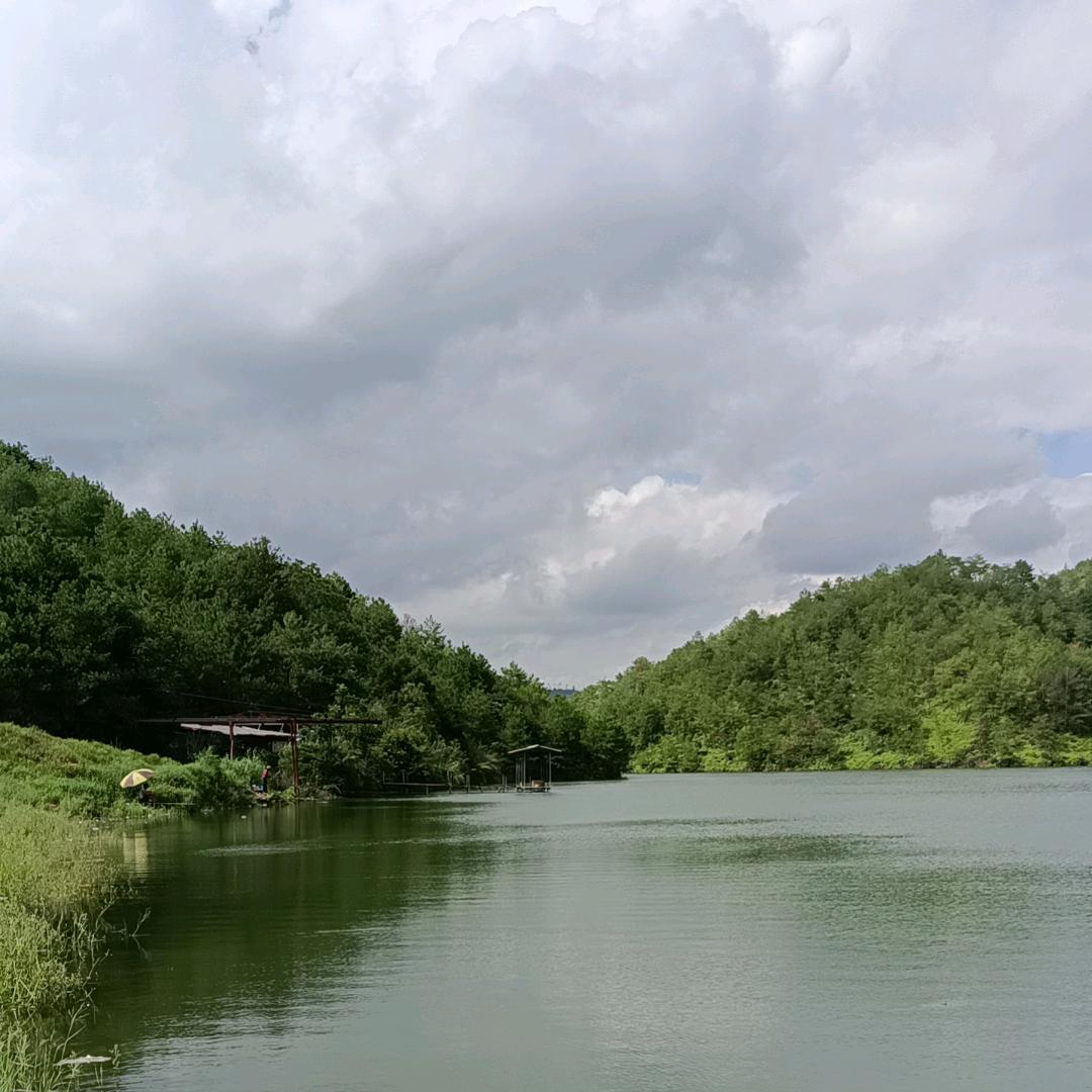 DY黑马