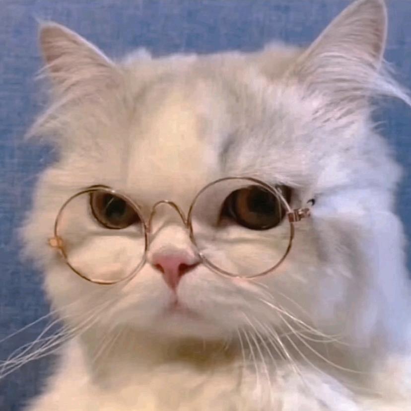 爱嘤嘤嘤嘤嘤嘤嘤斯坦