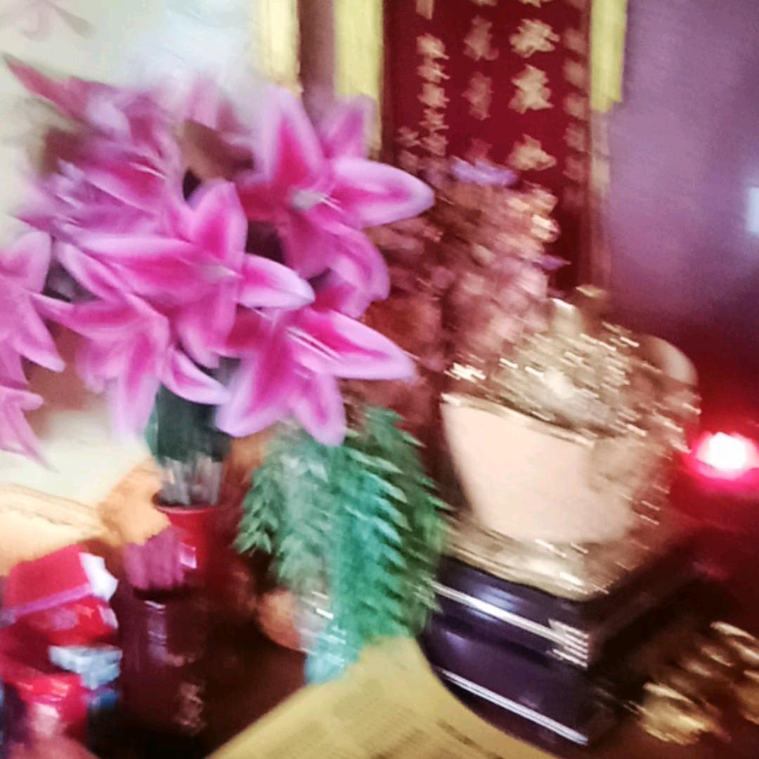 佛门弟子西藏公主🙏