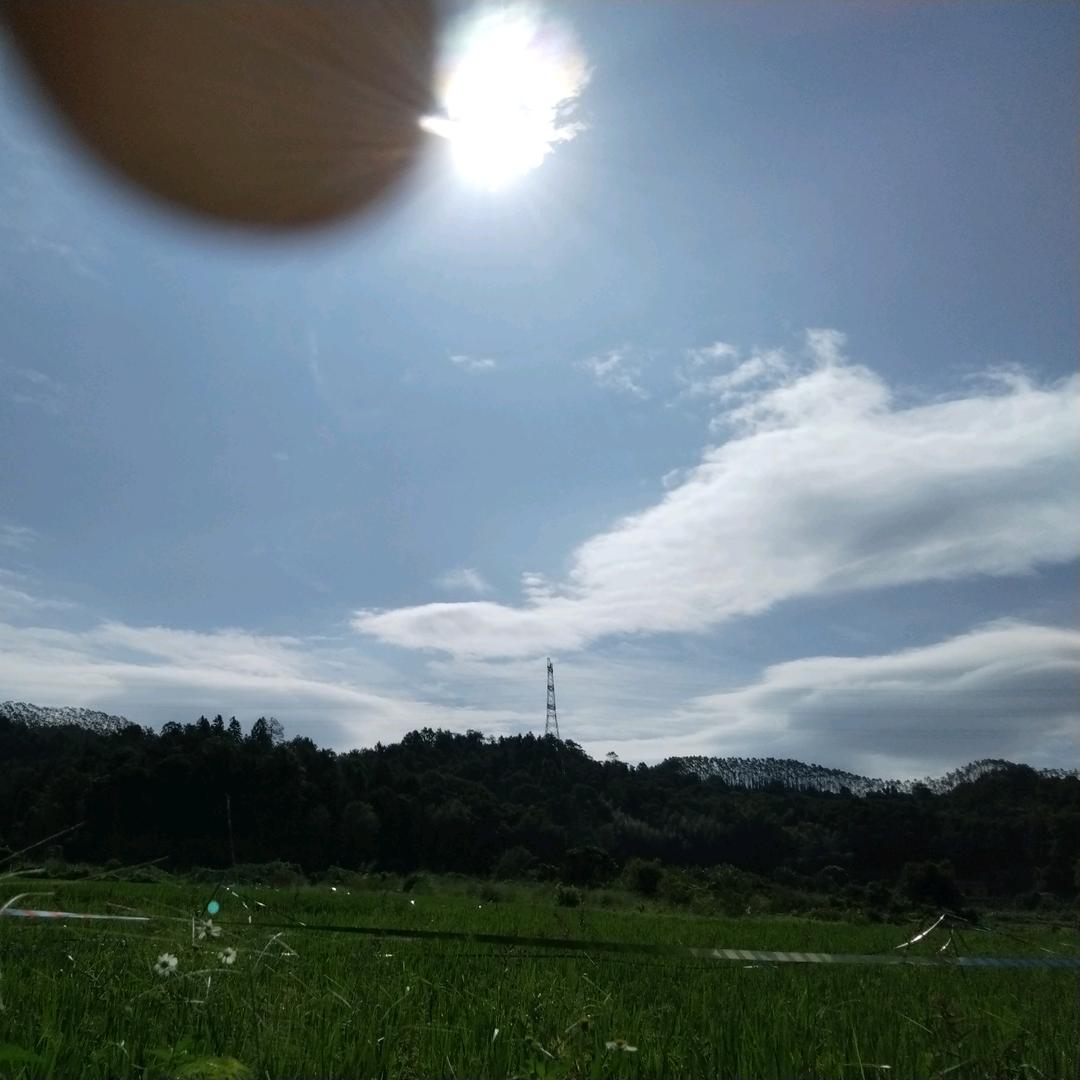 円会