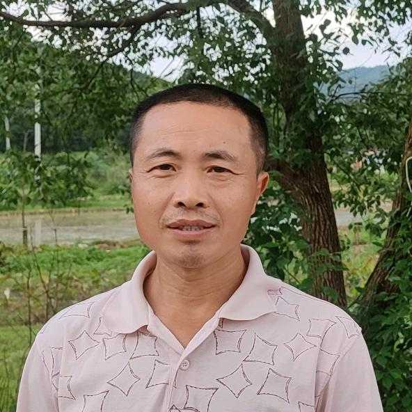 张哥脐橙土特产