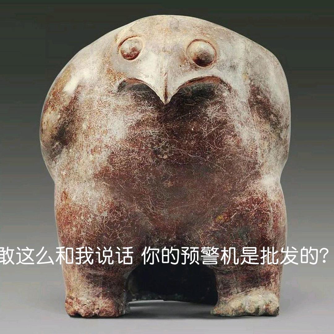飞翔的老猫