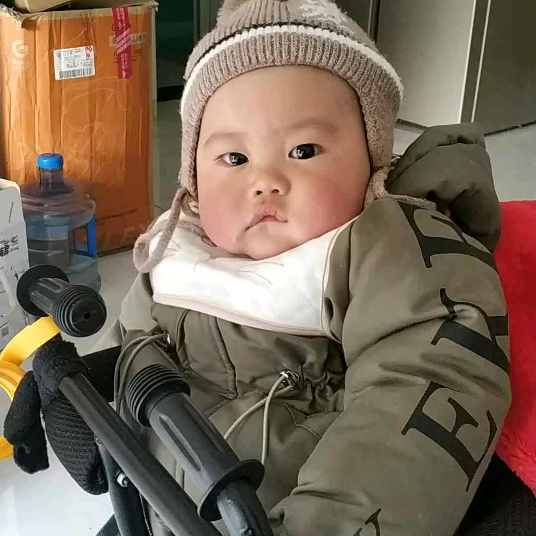 看看就行