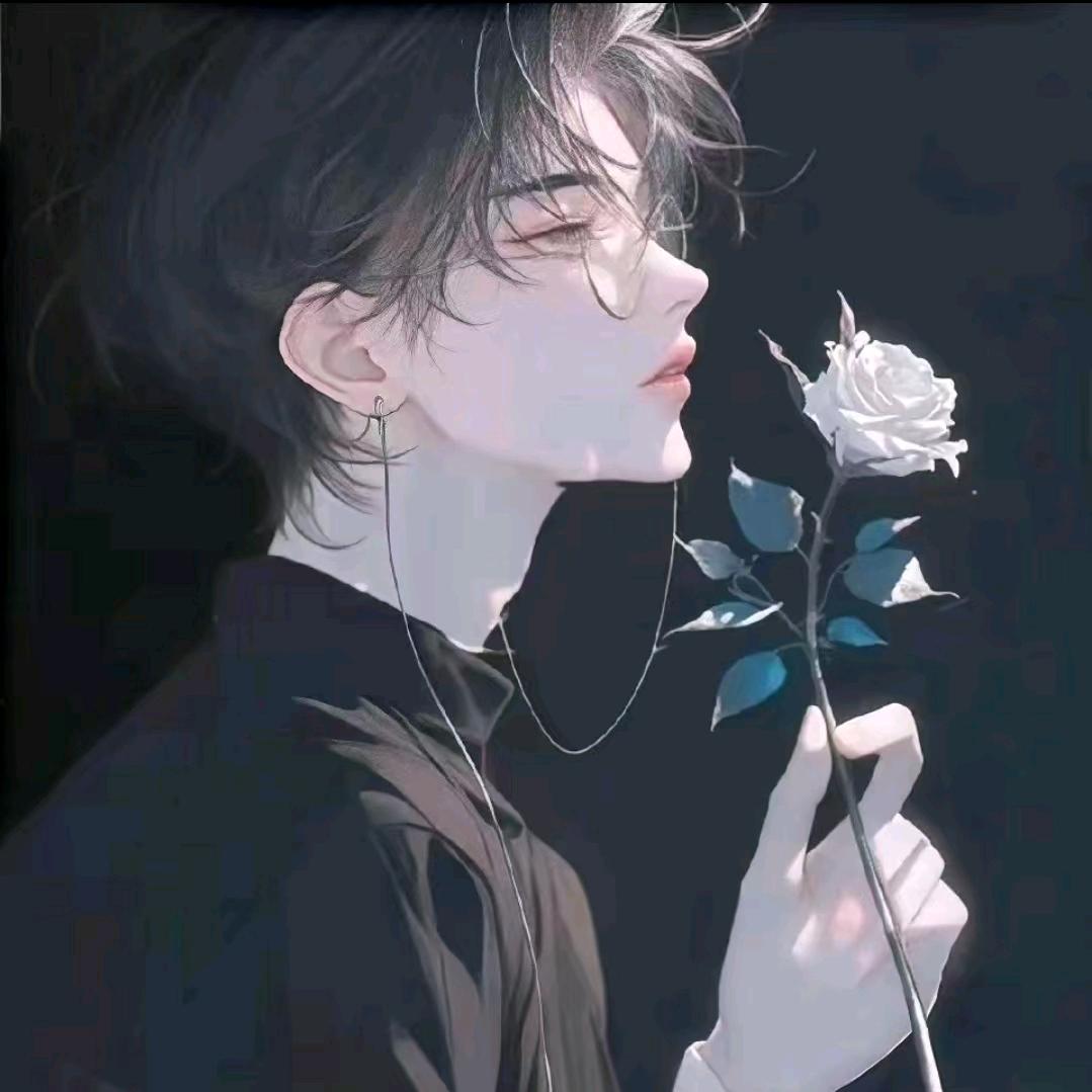 愤怒的考拉