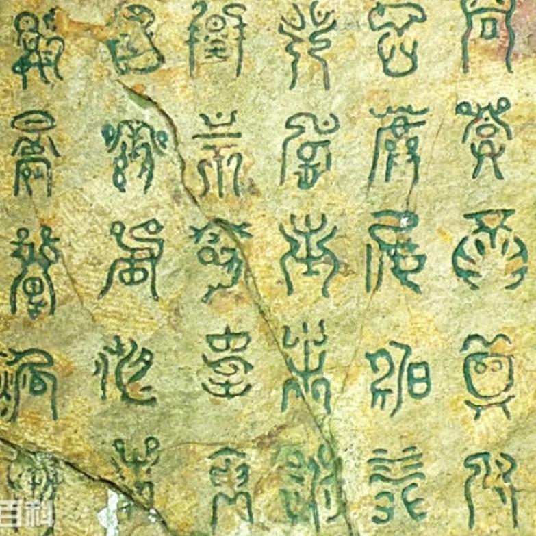 碰花碰草不碰情