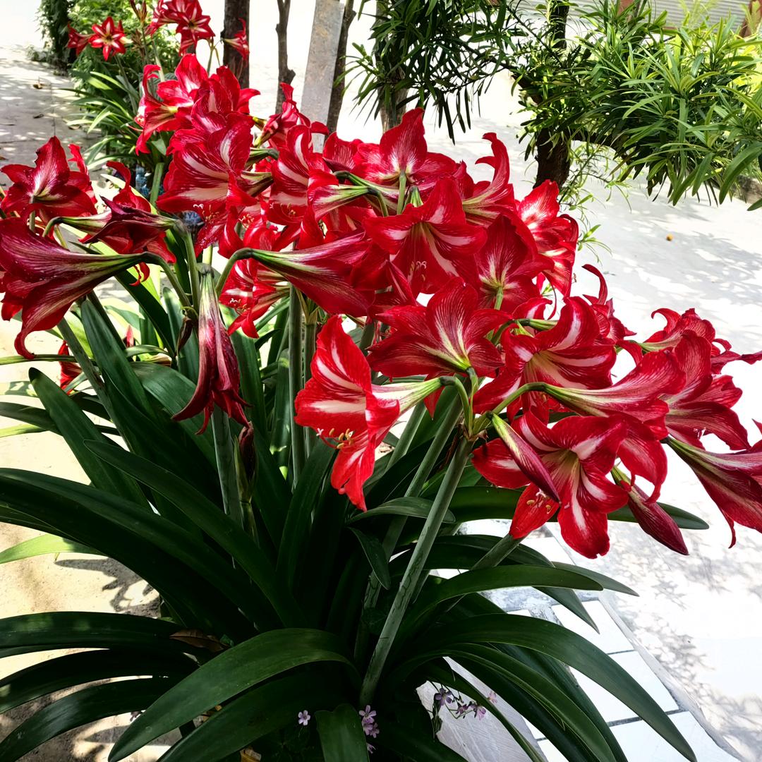 风调雨顺，国泰民安