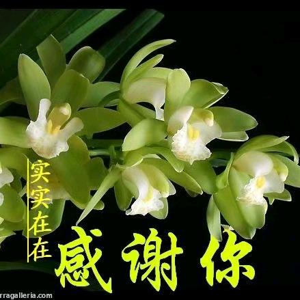 🥀༊ღ缘᭄定꧔ꦿ☆今☞生᭄🕊꧔ꦿ᭄?