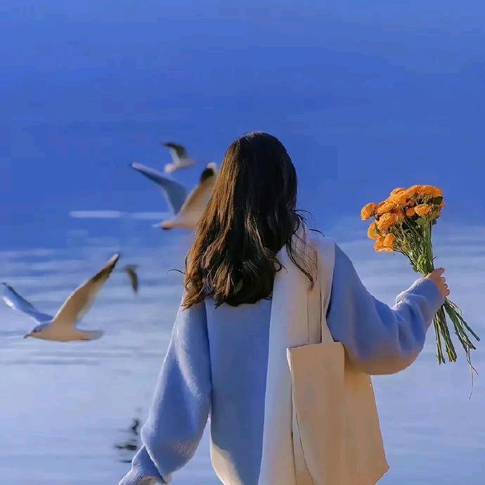 🌺🌷随遇而安🌷🌺