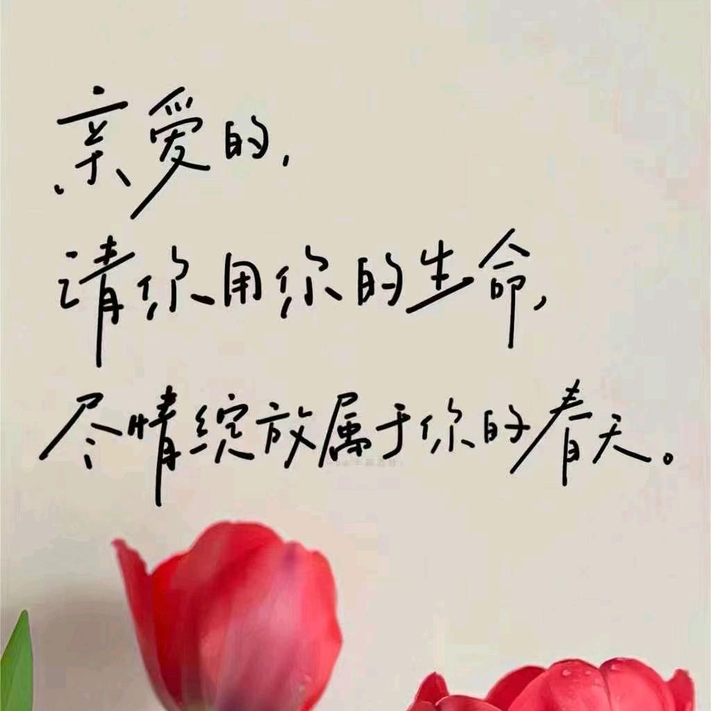 傻傻爱❤️（橱窗有好物）