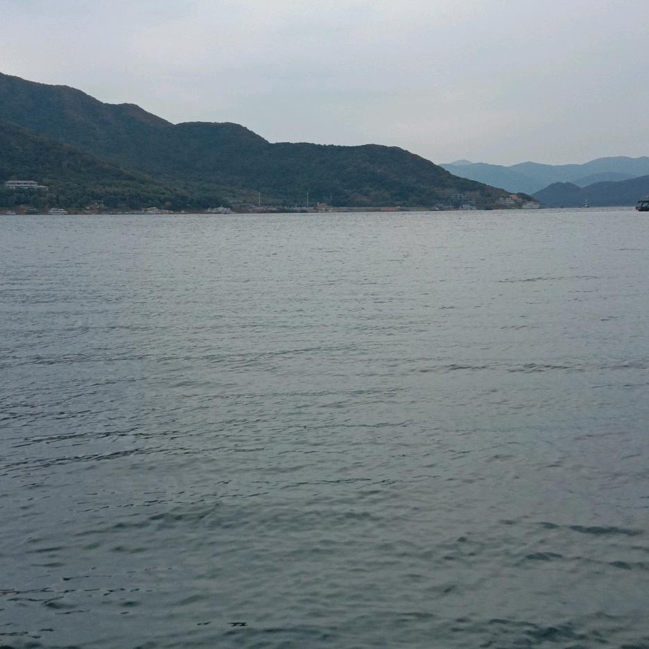 小青椒