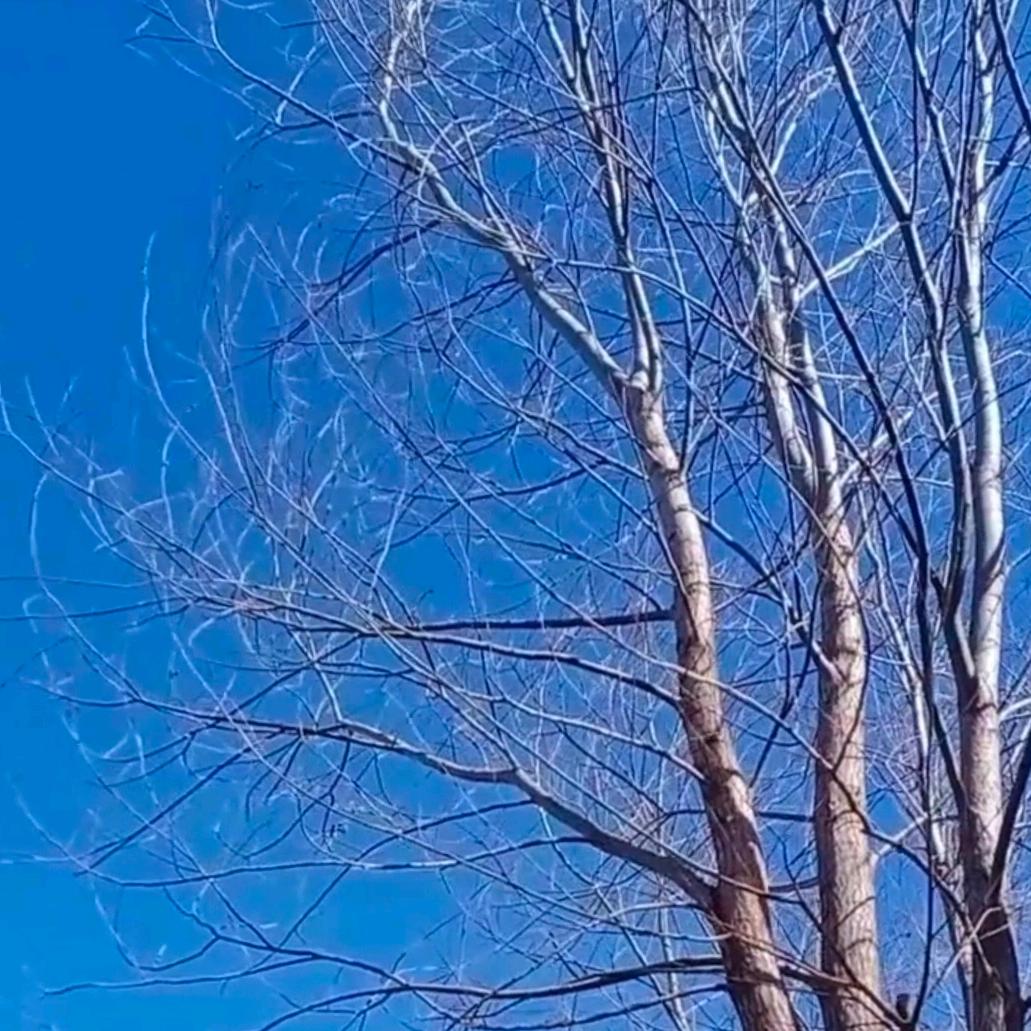 新∽~