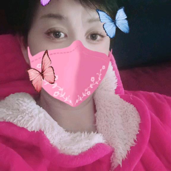 兰花草62