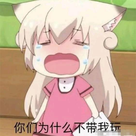 白山茶