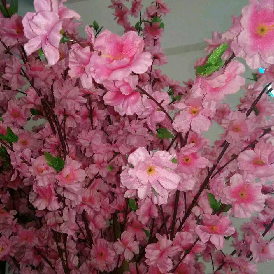 郑云飞