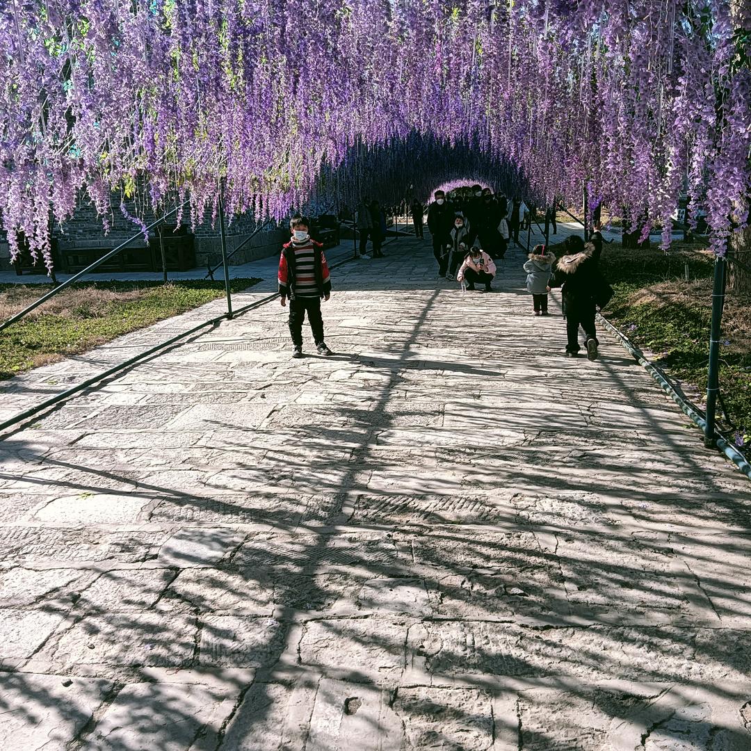 鹏程万里