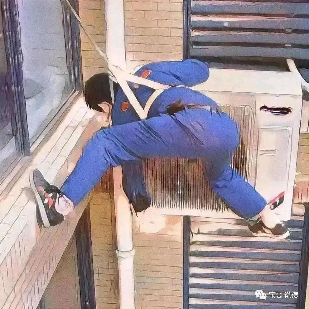 淅川小叶