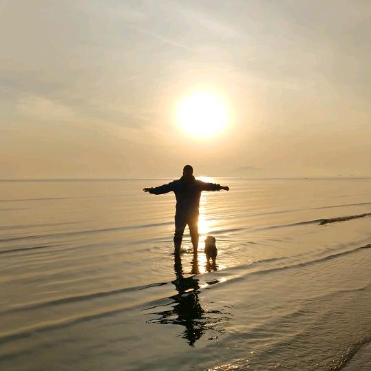 永不服输的狼王