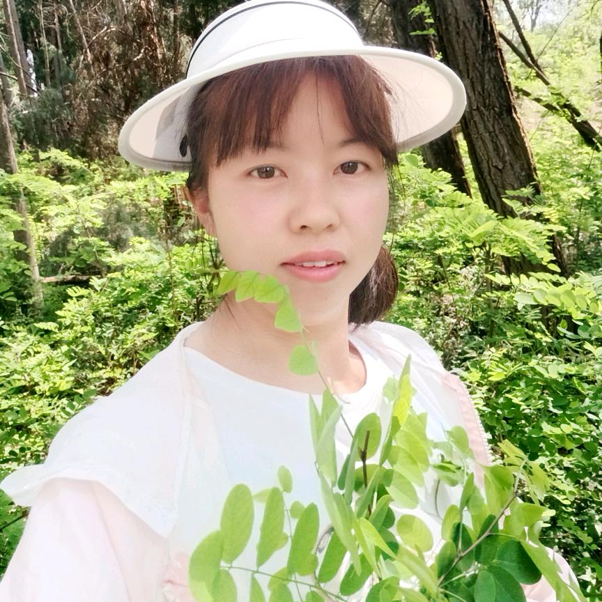 小菲菲