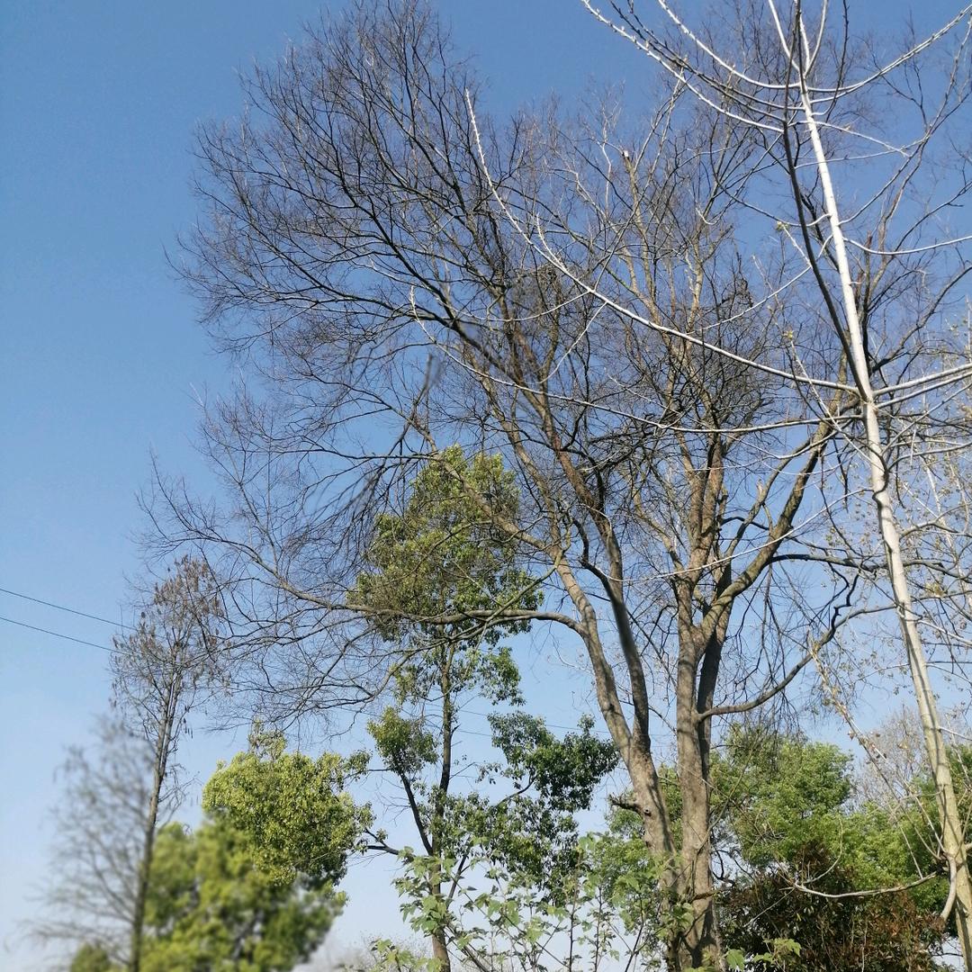 用户762