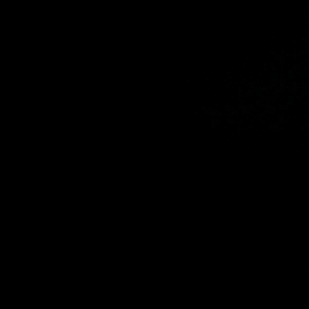 你随意我随心