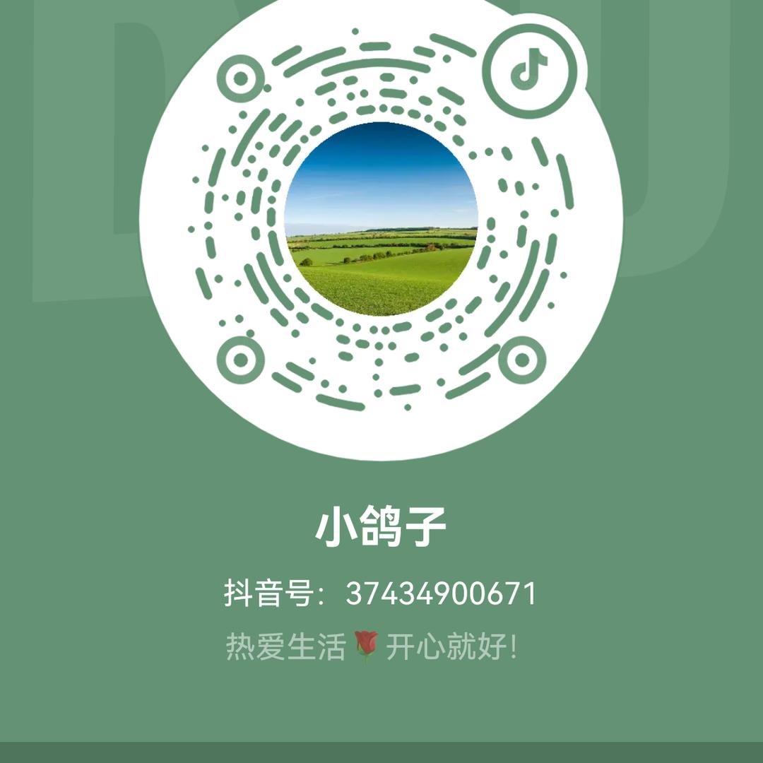 小鸽子