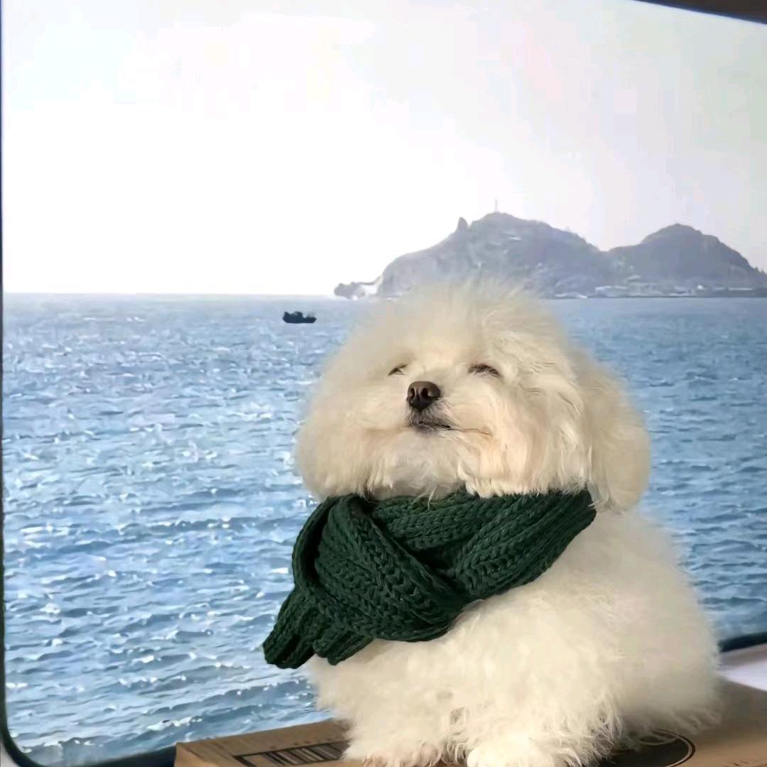 夏天热死了
