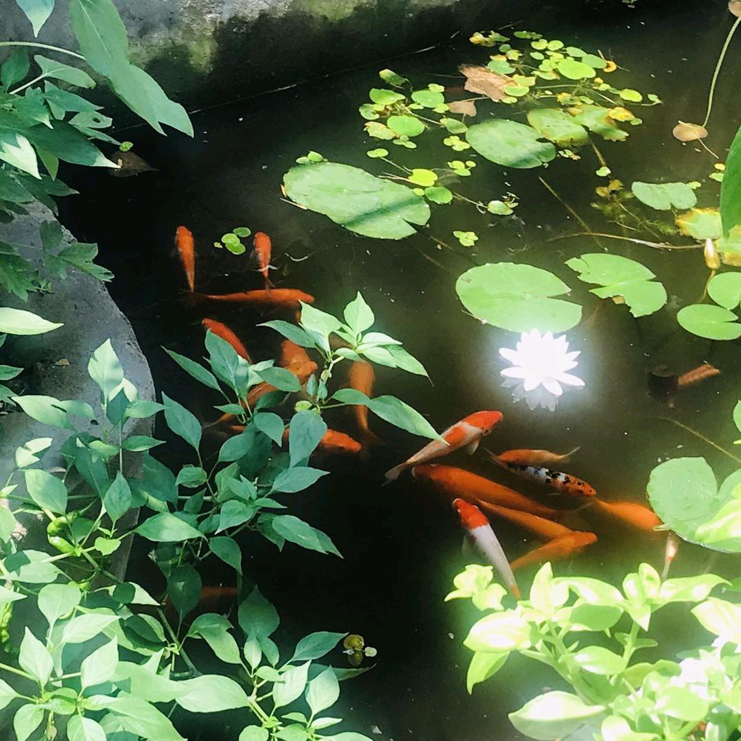 朝霞