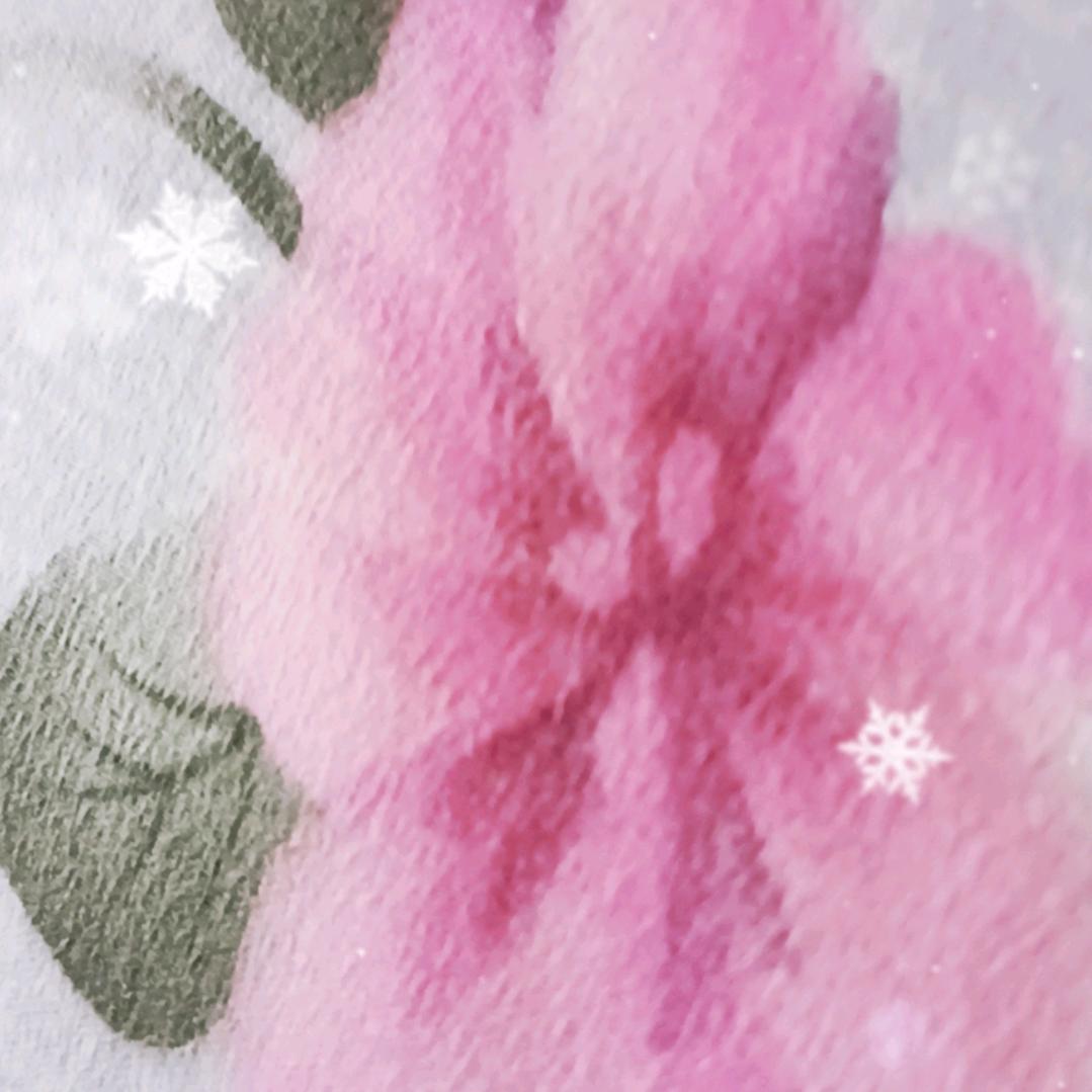 菊花茶