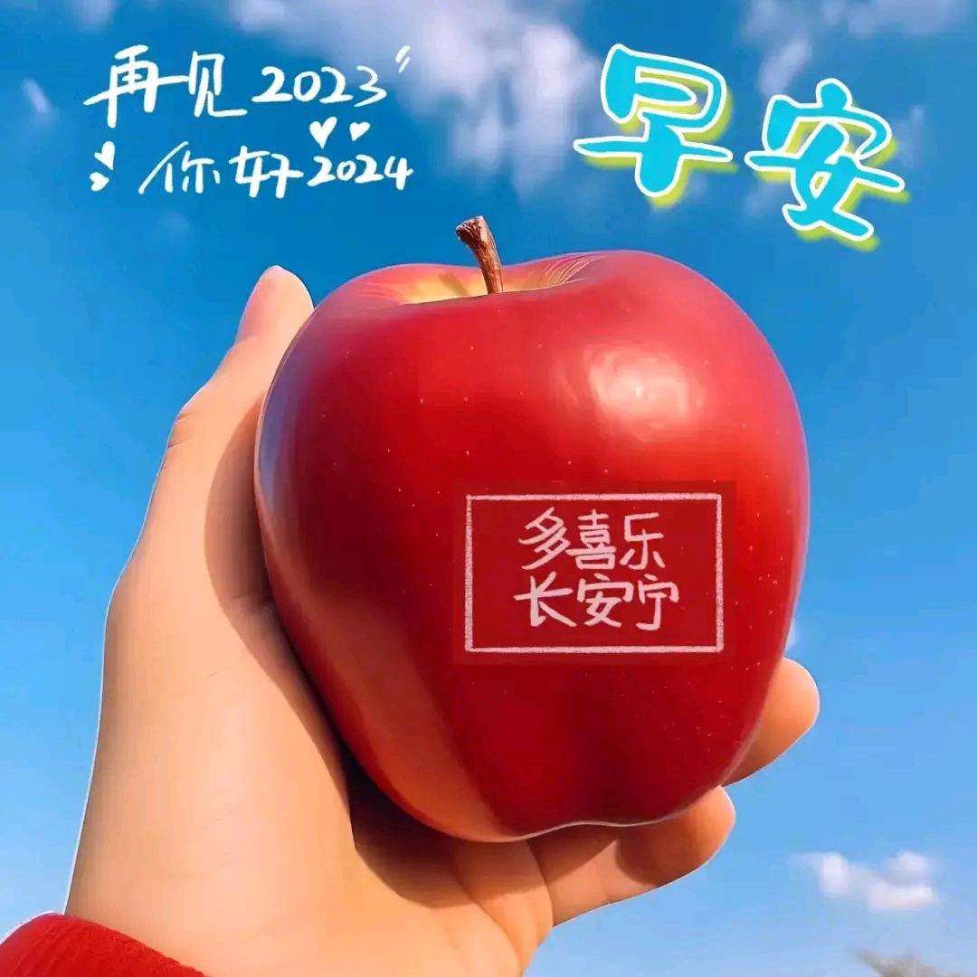 随遇而安