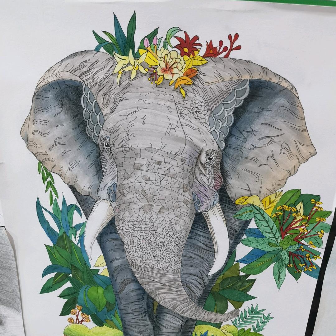 仔仔熊通讯总店