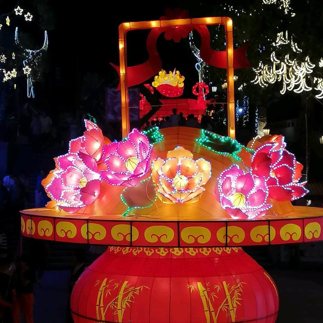 🌺🌹71年的金猪🐷🍄💐