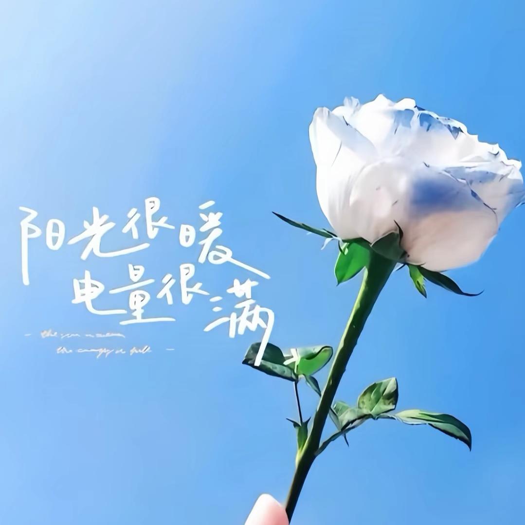 芬