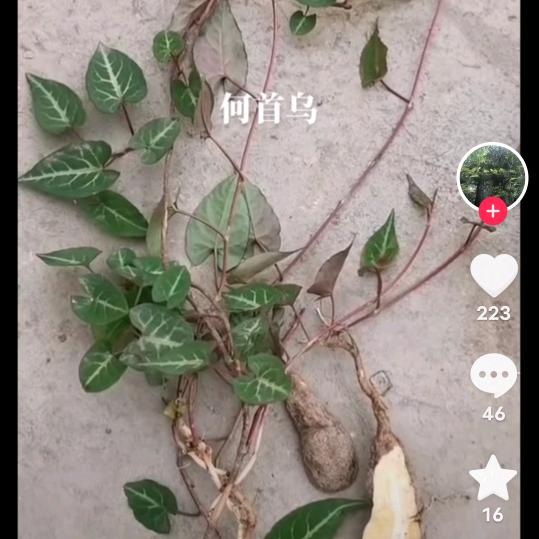 海阔的天空