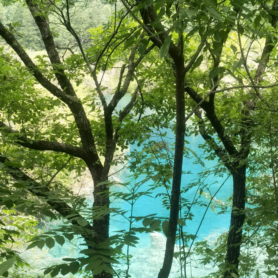 心如止水(◦˙▽˙◦)