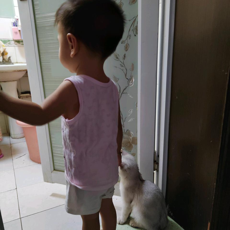 潘菲
